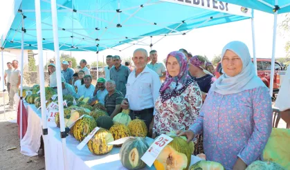 Kula'da kavun festivalinde renkli görüntüler!