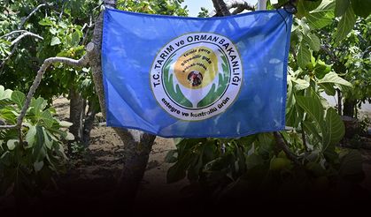 Tarımda 'Mavi bayrak' dönemi: Proje İzmir'de filizlendi!