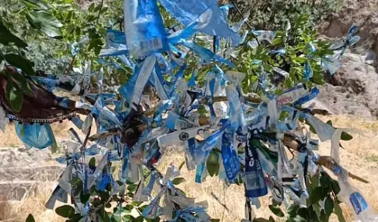 Ağaçlara bağlanan poşet ve bez parçalarını topladılar
