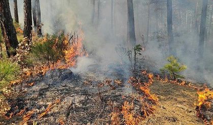 Kütahya'da çıkan orman yangını kontrol altına alındı