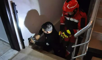 Baca boşluğuna düşen güvercin kurtarıldı