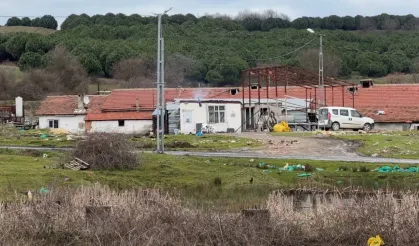 Çiftlik evinde dehşet: Elektrikli testereli saldırı!