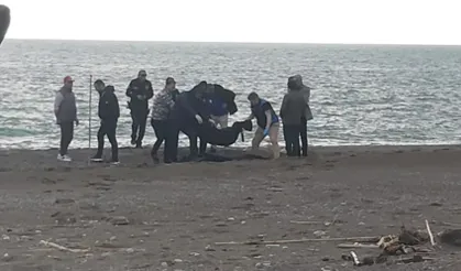 Muğla'da sahilde parçalanmış erkek cesedi bulundu