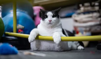 Tartıda 12 kiloyu gören Boncuk, diyet ve pilatesle zayıflıyor