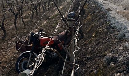 Sepetli motosiklet üzüm bağına devrildi: 1 ölü