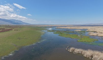 Kuraklık riski altındaki Eber Gölü'nün su seviyesi üç kat arttı