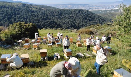 Bornova'da arıcılığa güçlü destek