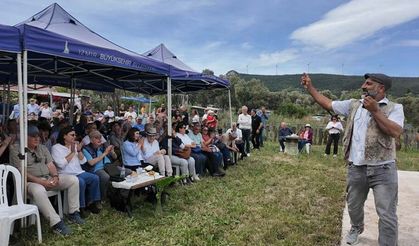 Foça'da üreticilerden imece usulü zeytin şenliği