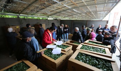 Muğla'da ata tohumları üretici ile buluşuyor