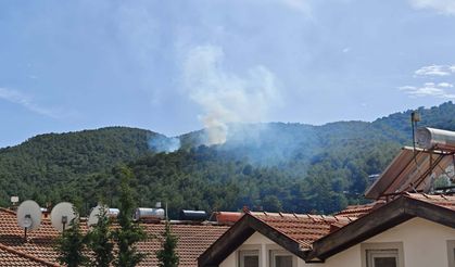 Muğla'da orman yangını