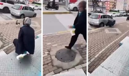 Kediyi yanına çağırıp yağ çözücü sprey sıktı