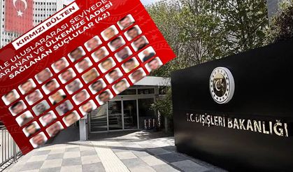 İçişleri duyurdu: 90 suçlu ülkeye getirildi