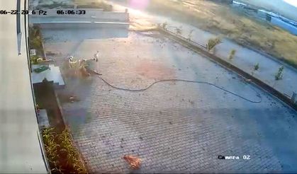Sürü psikolojisi katliam getirdi: Dehşet anları saniye saniye kaydedildi!