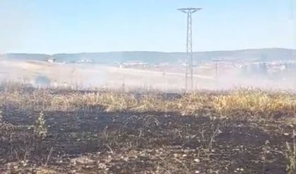 Hasat vakti çıkan yangın tarlayı küle çevirdi!