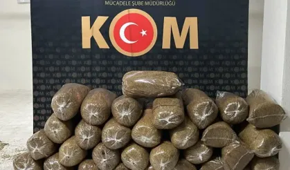 İzmir'de hafif ticari araçta 530 kilogram kaçak tütün ele geçirildi