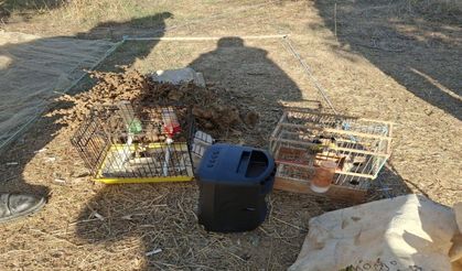 Muğla'da izinsiz bulundurulan 13 kuşa el konuldu