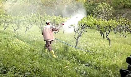 Tarlaya atılan ilaç zehirledi: Yaşlı çift hastanelik oldu!