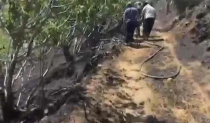 Yemek ısıtmak için yakılan ateş incir bahçesini yaktı