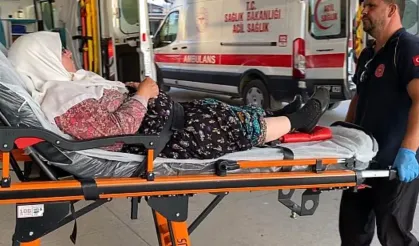 Tarım işçilerini taşıyan minibüs devrildi: 7 yaralı