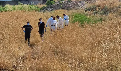 Şanlıurfa’da tarlada erkek cesedi bulundu