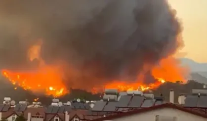 Muğla'da orman yangını