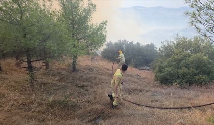 Manisa'da çıkan orman yangını kontrol altına alındı