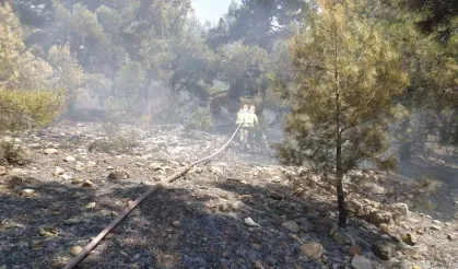 Denizli'de ormanlık alanda çıkan yangın kontrol altına alındı