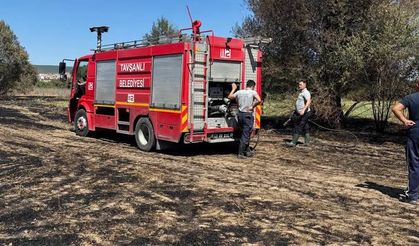Kütahya'daki örtü yangını, erken müdahaleyle söndürüldü