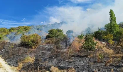 Manisa'da yol kenarında çıkan yangın, ormana sıçradı
