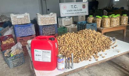 İzmir'de kimyasalla beyazlatılmış 3 ton incir ele geçirildi
