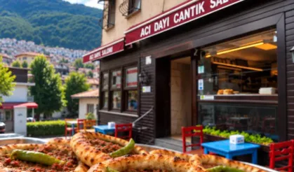 Bursa’da 'at-eşek eti' tespit edilen 68 yıllık Acı Dayı’dan açıklama
