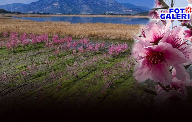 İzmir’in şeftali cenneti Selçuk’ta kartpostallık manzara