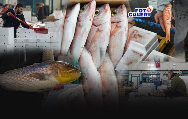 Ege Denizi’nde av sezonu bereketli geçti