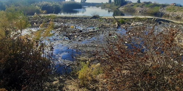Büyük Menderes Nehri çöplüğe döndü... Suyun rengi siyaha büründü