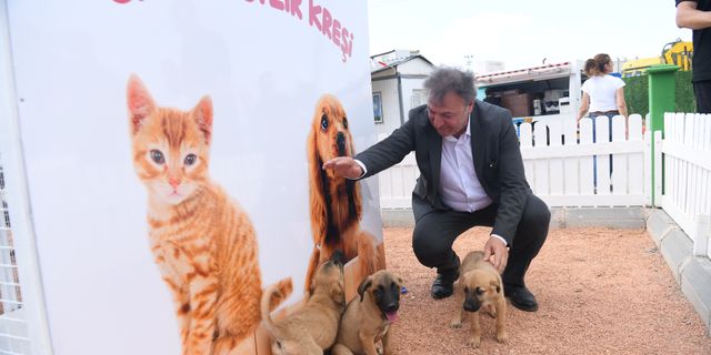 Bornova’da can dostlar sahipsiz değil: 15 bin kedi ve köpeğe tedavi desteği sunuldu