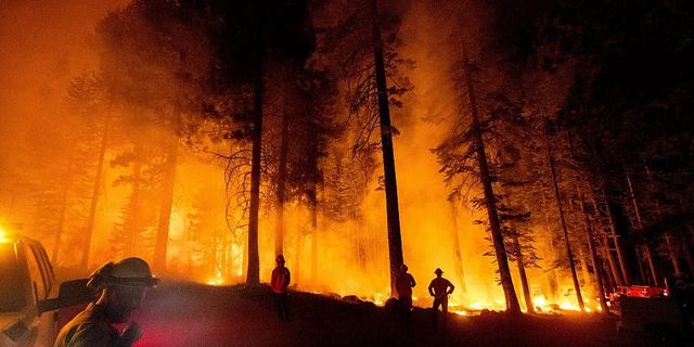 Orman yangınlarında 21 kişi hayatını kaybetti