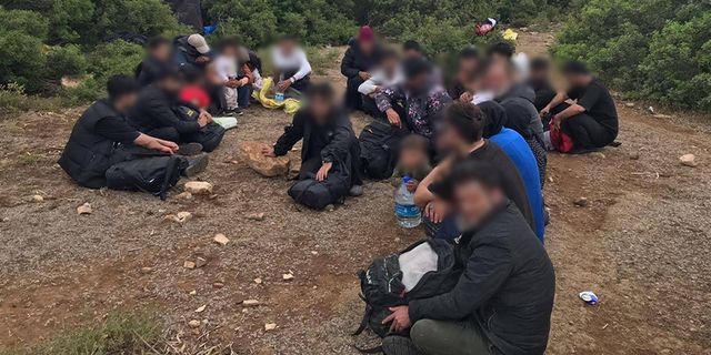 Ormanlık alanda 34 düzensiz göçmen yakalandı