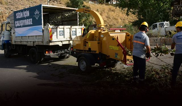 Karabağlar'da dönüşüm hareketi... Budanan dallar gübreye dönüşüyor