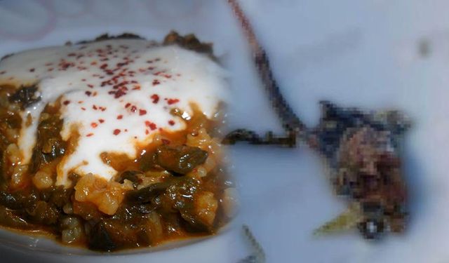 Yoğurtlu ıspanaktan fare çıktı: Çiğnerken fark etti