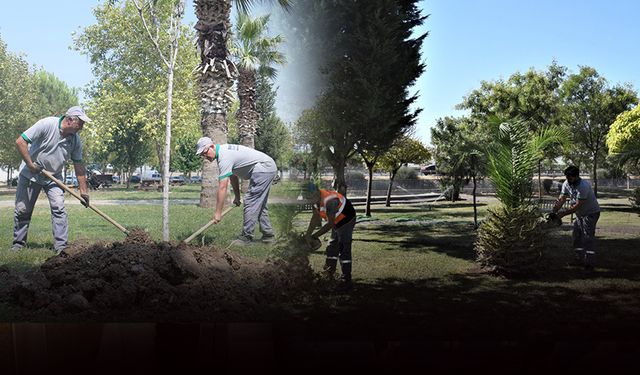 Bornova’ya yeşil hizmet... On binlerce fidan dikildi