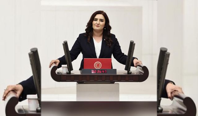 CHP İzmir Milletvekili Sevda Erdan Kılıç: Veli kayıp; dosya kısıtlı