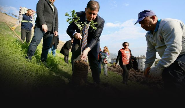 Karşıyaka'da yeşil seferberlik... 5 yılda 100 binden fazla ağaç!