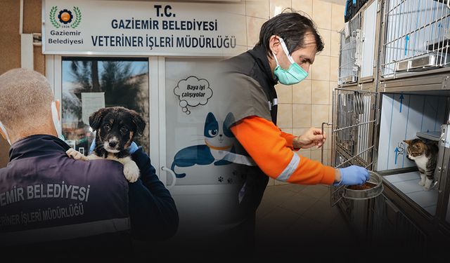 Gaziemir’de 27 bin 631 hayvana veteriner sağlık hizmeti