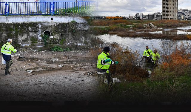 İzmir'de sivrisineklerle dev mücadele... 300 bin noktada ilaçlama