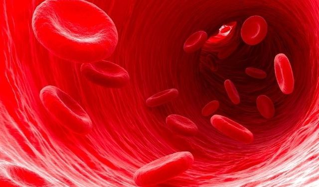 Bilim insanları hemoglobin ile çalışabilen pil üretti