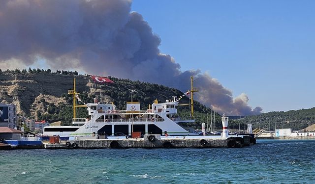 Çanakkale'de orman yangını! Gemi trafiği durduruldu