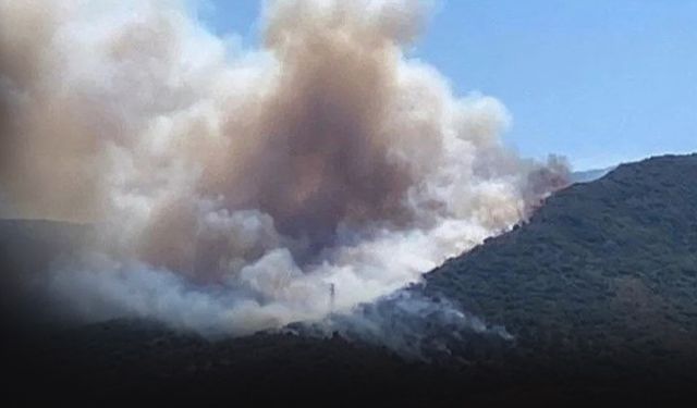 İzmir'de yangın paniği! Havadan karadan müdahale