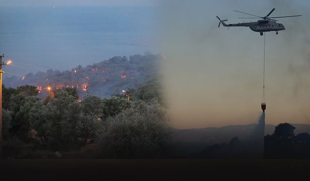 Dikili'de gökyüzü karalara büründü... Otlukta başladı zeytinliklere sıçradı