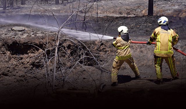 İzmir’in ateş savaşçıları ağaçlar için nöbette