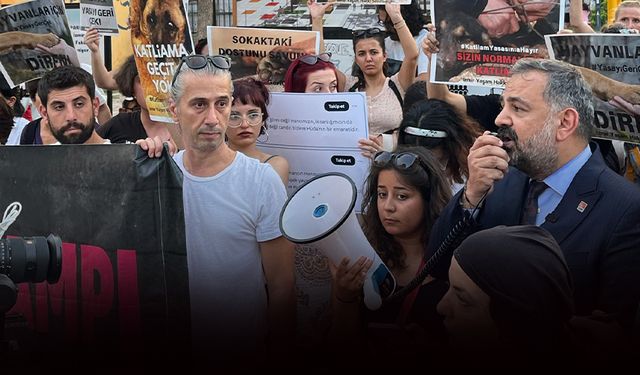 CHP İzmir'den 'uyutma yasası'na tepki... Bunun sonu katliam!